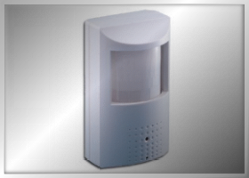 pir covert camera